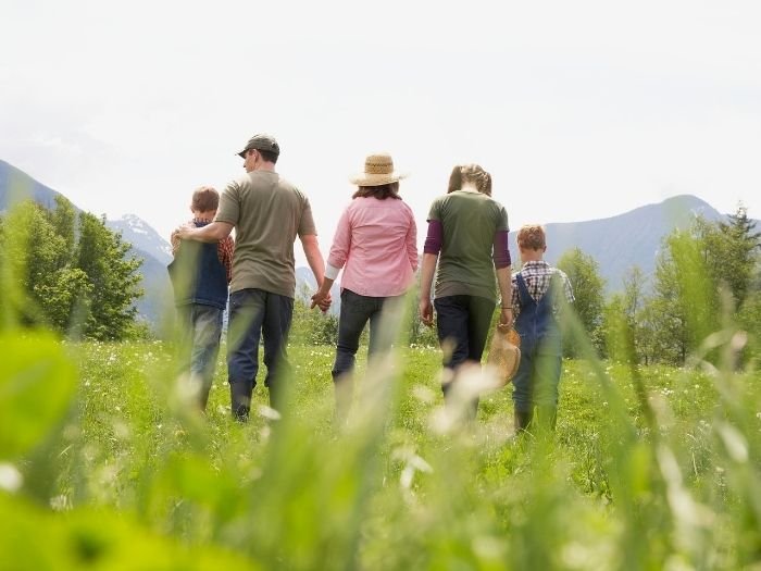 Constelação Familiar em Brasília de Minas MG