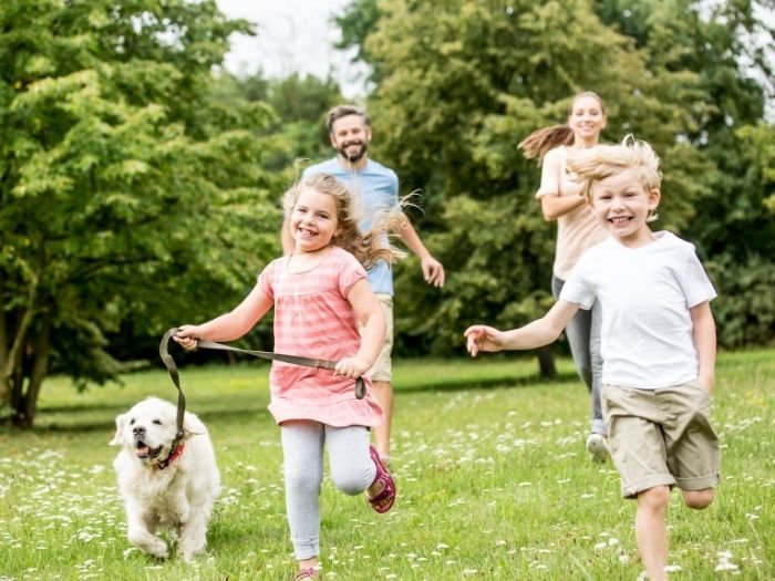Constelação Familiar em Miracatu