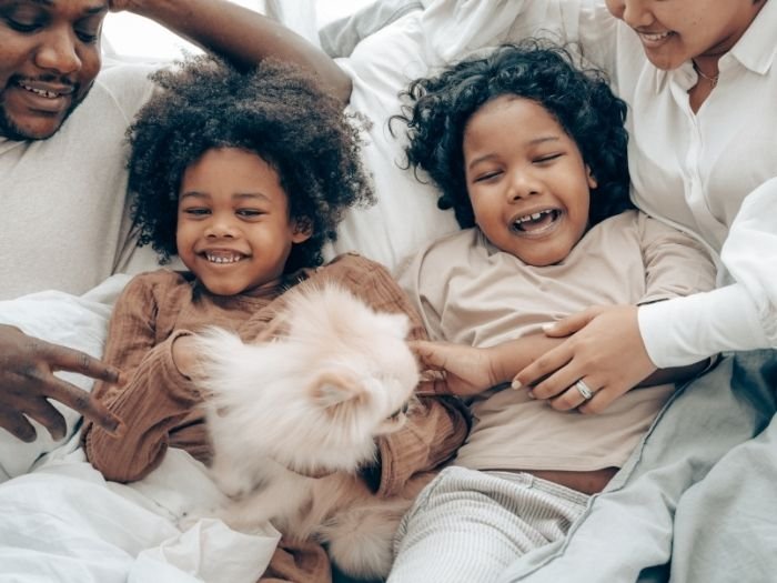 Constelação Familiar em Peixoto de Azevedo